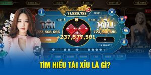 Tìm hiểu tài xỉu là gì? 